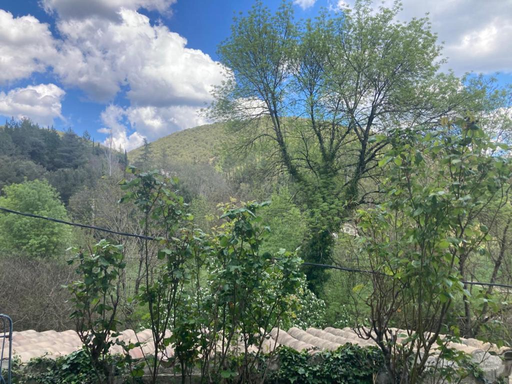 Chambres Et Gite En Cevennes Cros  Dış mekan fotoğraf